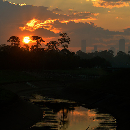 To Watch the Dawn