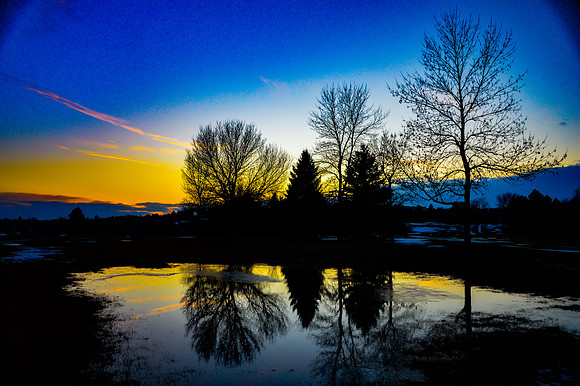 Winter Reflections