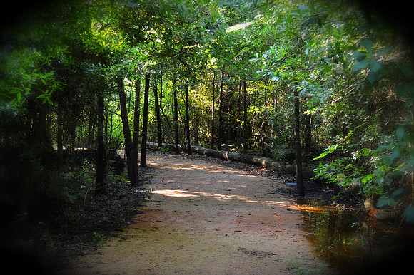 Eleventh Street Park