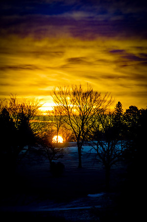 Bright Dawn