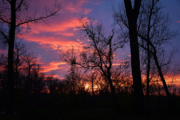 Cross Ranch Cottonwoods Autumn Sunset
