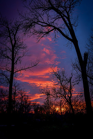 Cross Ranch Cottonwoods Autumn Sunset 2