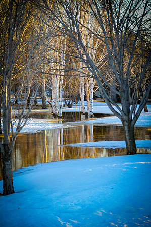 Birches of Tom O'Leary Golf Course 3