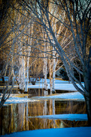 Birches of Tom O'Leary Golf Course 4