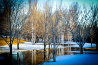 Birches of Tom O'Leary Golf Course 2