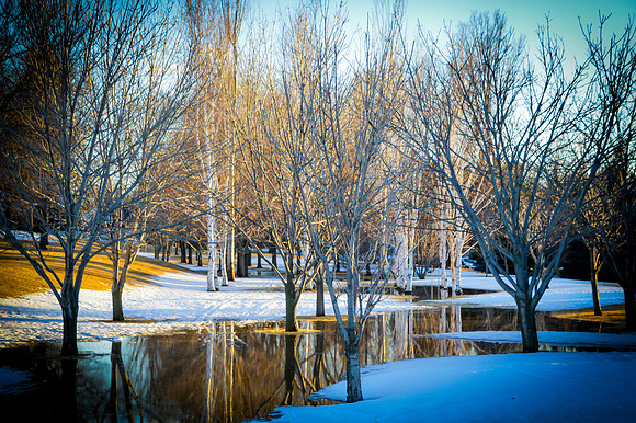 Birches of Tom O'Leary Golf Course 2