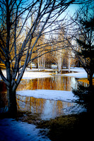 Birches of Tom O'Leary Golf Course 1