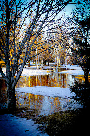 Birches of Tom O'Leary Golf Course 1