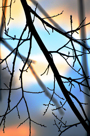 Winterscape December