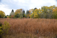 Autumn Prairie