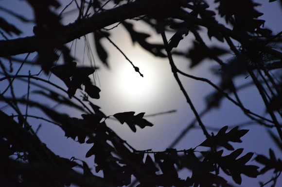 O Holy Night...