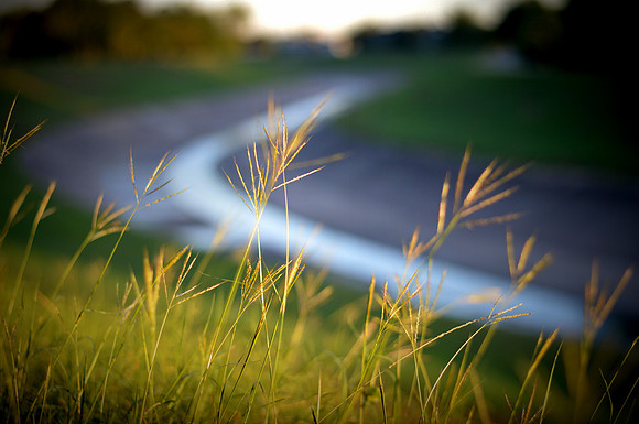 September Along the Bayou