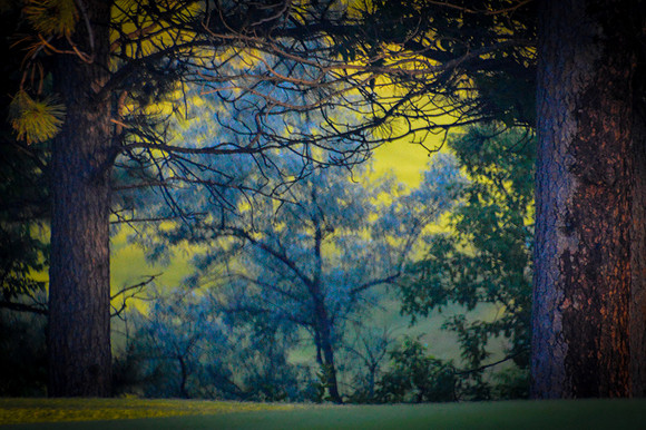 Stained Glass Summer
