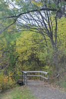 Arboretum Trail rails