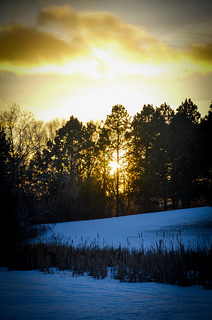 Sun Set over the Arboretum