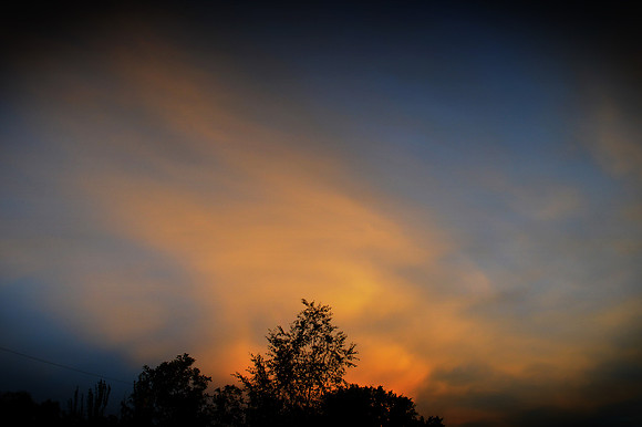 Evening Whisper