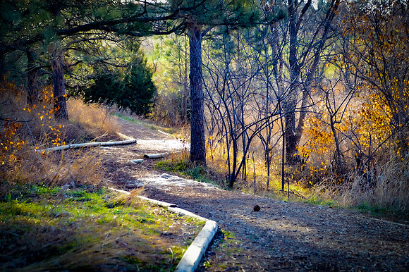 Pheasant Path