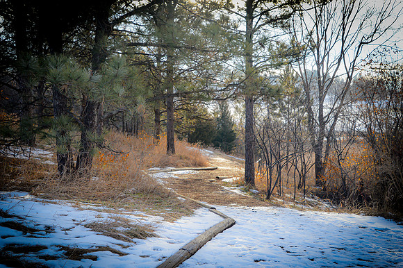 Snow Path