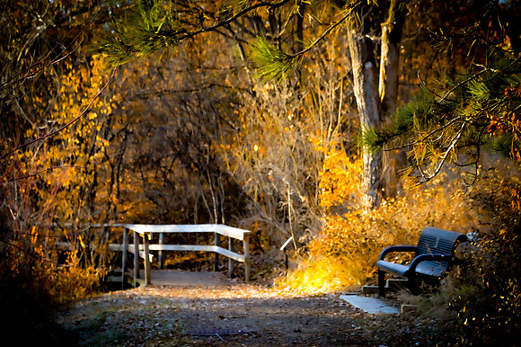 Fall Bridge