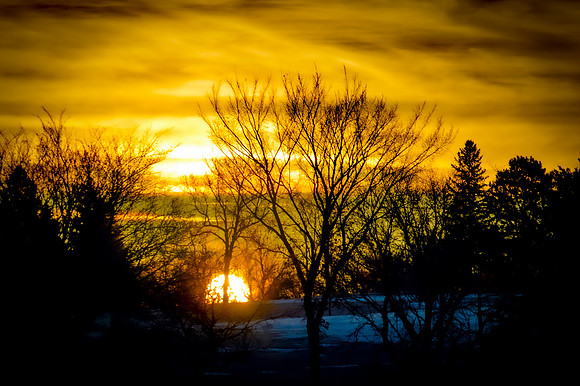 Bright Dawn