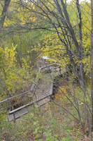 Wetlands Bridge
