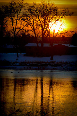 Dakota Ramblings ~ Birds of the Northern Plains