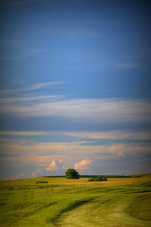Dakota Plains