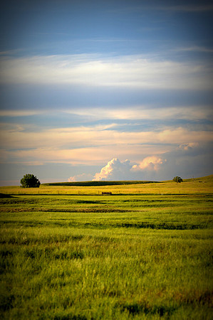The Vast Plains