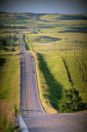 Roller Coaster Hill