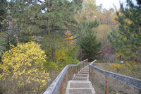 Autumn Stairs