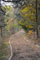 Arboretum Trail