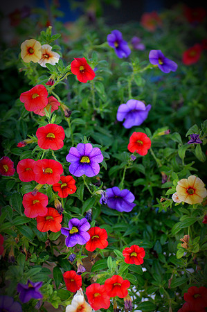 A Bright Spot